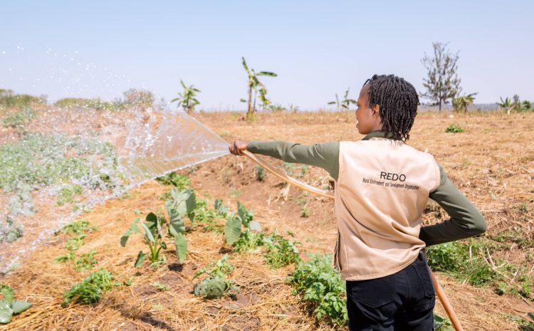  Promoting Sustainable Agriculture in a Changing Climate in Bugesera District